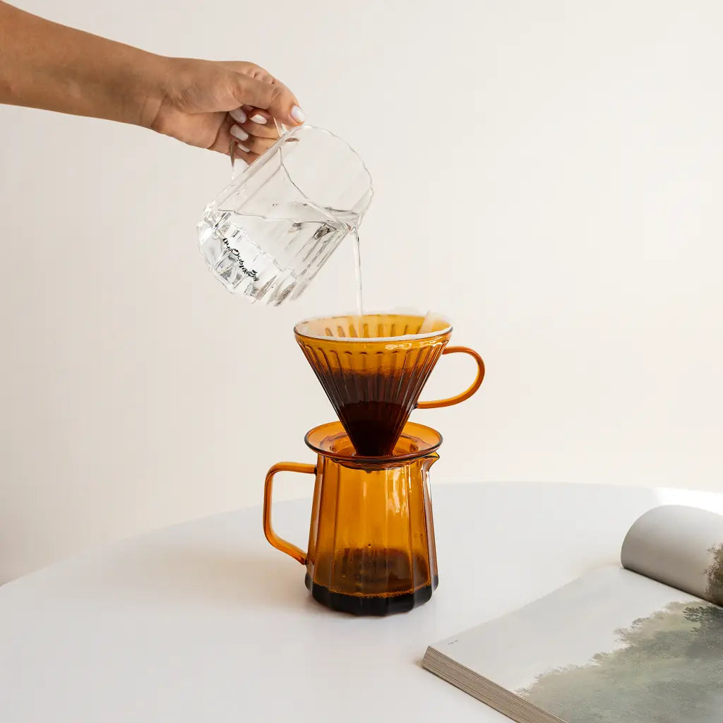 Driply Handfilter Modell 2 | Bernstein