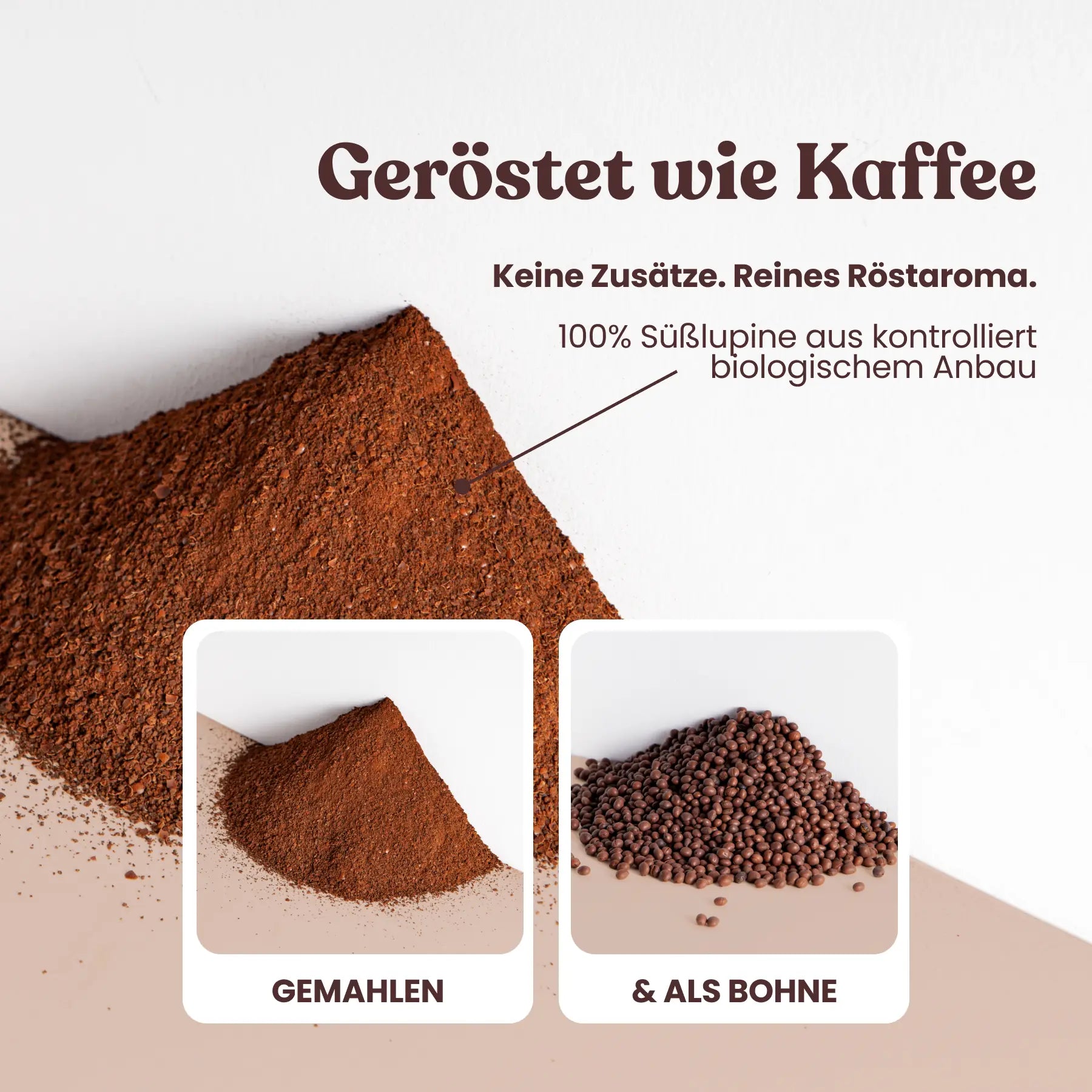 Caffè di lupino biologico - "L'Intensivo Loffee
